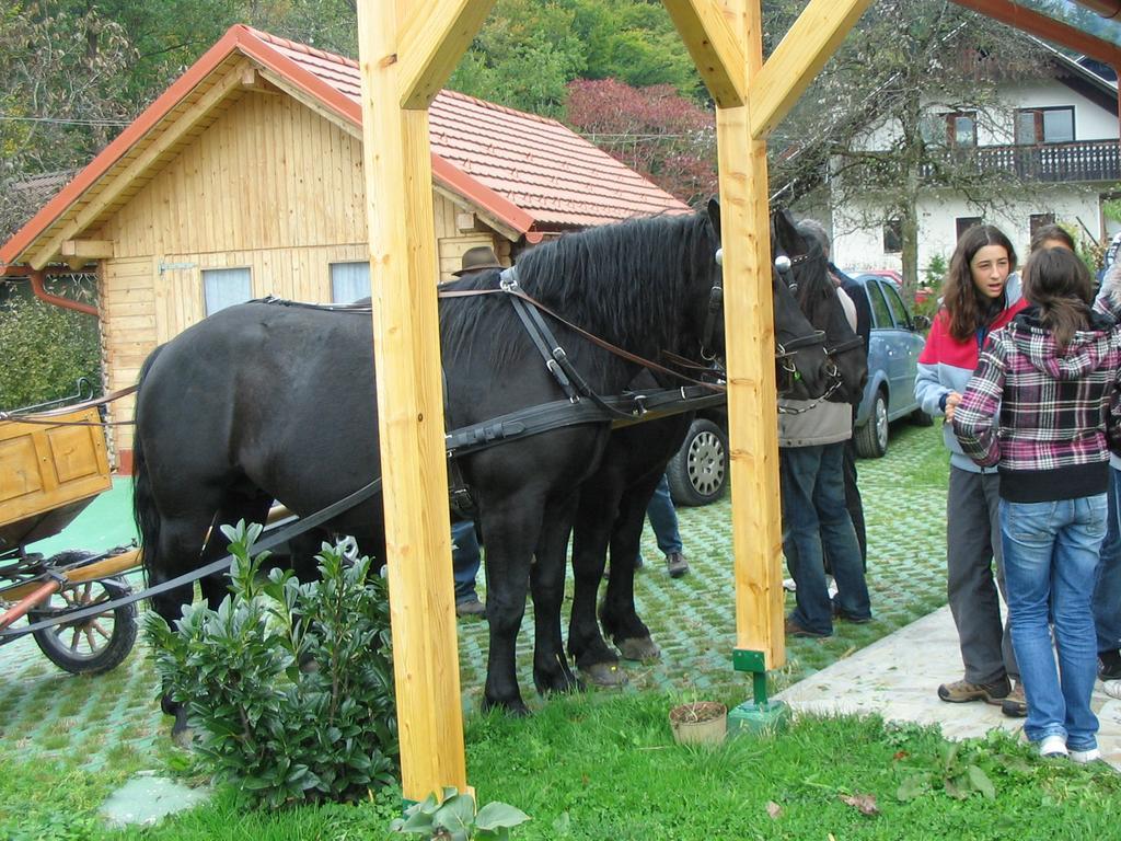 Sunny Holiday House B&B Ljubno Kültér fotó